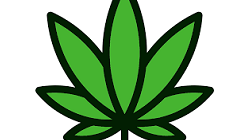 Willie Nelson slot machine